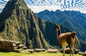 Machu Picchu Highlights