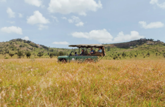 Safari Series Camp