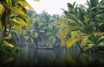 Kerala's Backwaters & Beaches