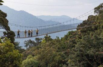 Rwanda’s Highlands and Savannah