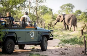 Affordable Greater Kruger Safari Combo