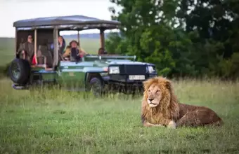 Enchanted Kenyan Safari