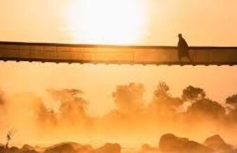 Unplugged Safari in the Mara