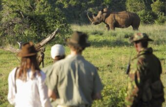Kenya Walking & Horseback Safari