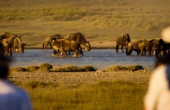 Tanzania's Northern Circuit