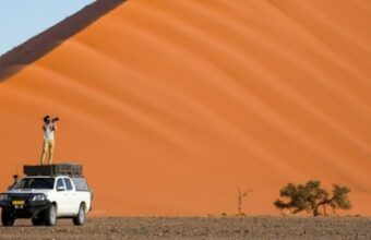 Desert Lines of Namibia