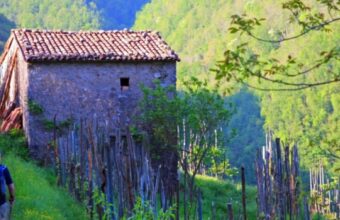 Tuscany: Walking in the Apuane Alps