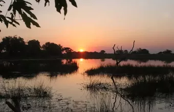 Explore water world in the Okavango Delta
