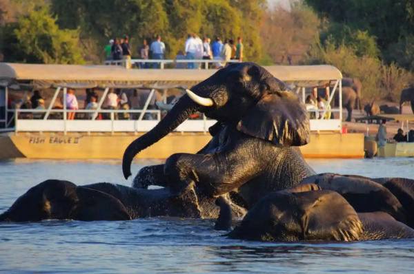 Chobe National Park