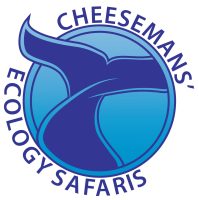 Cheesemans’ Ecology Safaris