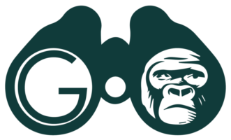 GoExplore Safaris