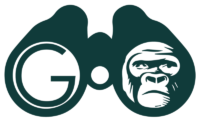 GoExplore Safaris
