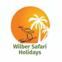 Wilber Safari Holidays
