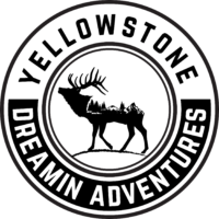 Yellowstone Dreamin Adventures