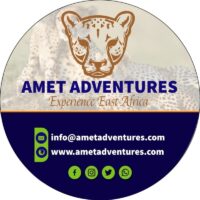 Amet Adventures