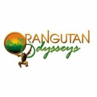 Orangutan Odysseys