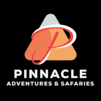 Pinnacle Adventures & Safaris
